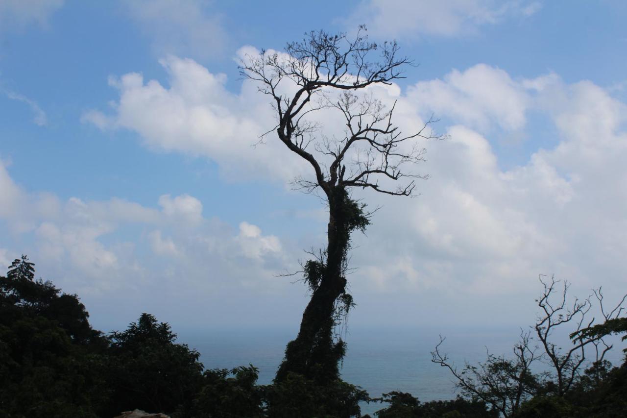 Cham Island Smiles Homestay Tân Hiệ 외부 사진